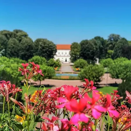 Durdevak Lux * Banja Koviljača