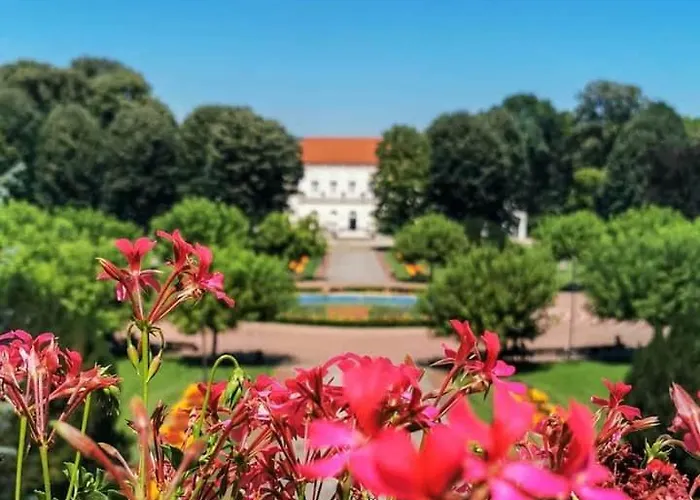 Durdevak Lux * Banja Koviljača