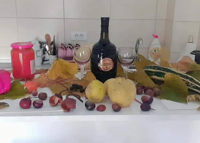 Durdevak Lux 아파트 *